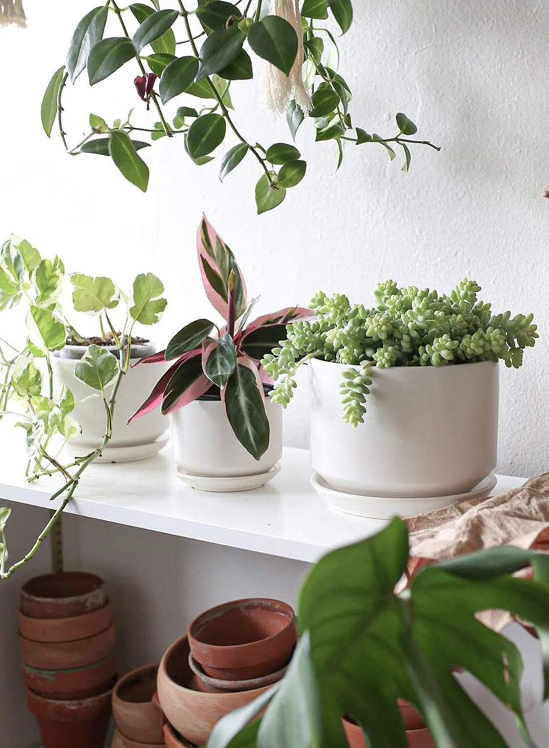 Set of 3 Ceramic Plant Pots (4.3", 5.3" & 6.8") with Drainage Holes and Saucers, Indoor Flower Pots & Modern Planters for Houseplants, Succulents & Small Plants Indoor Planter