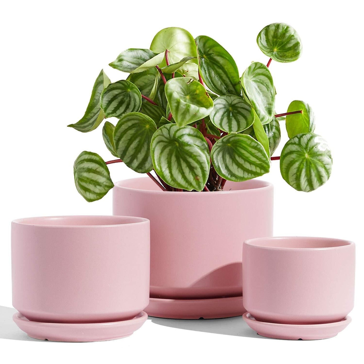 Set of 3 Ceramic Plant Pots (4.3", 5.3" & 6.8") with Drainage Holes and Saucers, Indoor Flower Pots & Modern Planters for Houseplants, Succulents & Small Plants Indoor Planter