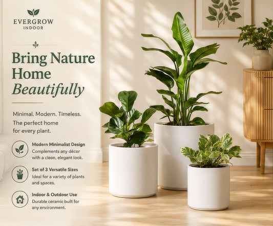Modern White Ceramic Planters (Set of 3) – Indoor Plant Pots with Drainage