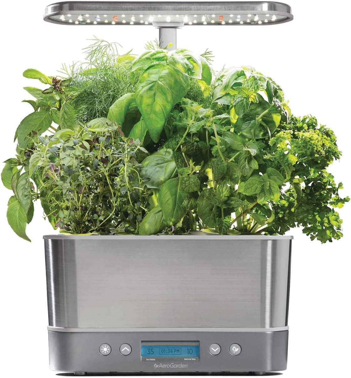 Indoor Garden Hydroponic System
