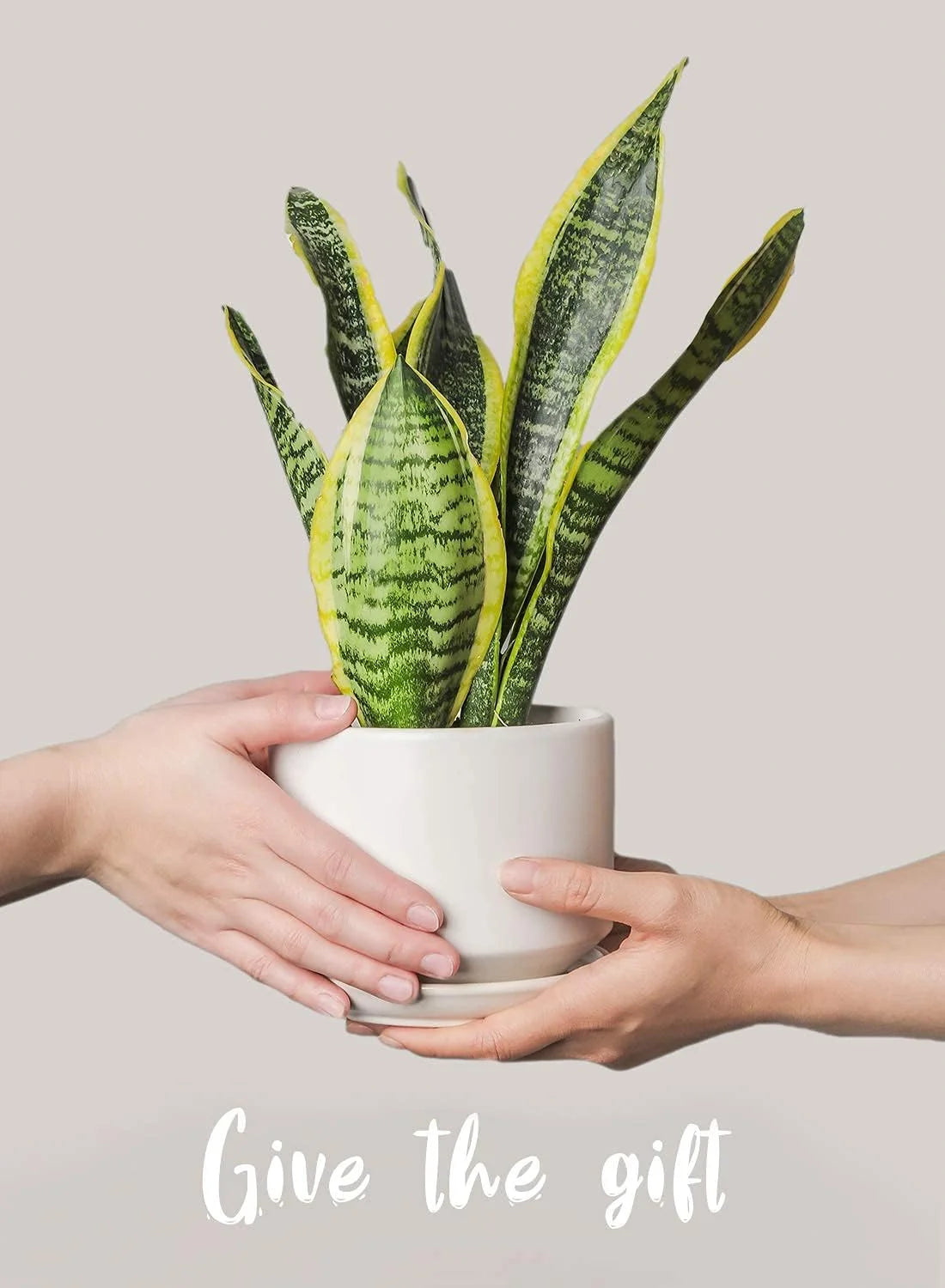 Set of 3 Ceramic Plant Pots (4.3", 5.3" & 6.8") with Drainage Holes and Saucers, Indoor Flower Pots & Modern Planters for Houseplants, Succulents & Small Plants Indoor Planter