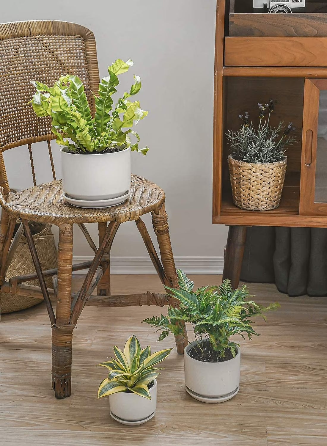 Set of 3 Ceramic Plant Pots (4.3", 5.3" & 6.8") with Drainage Holes and Saucers, Indoor Flower Pots & Modern Planters for Houseplants, Succulents & Small Plants Indoor Planter