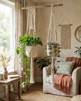 Two macrame plant hangers with trailing plants, alternate angle
