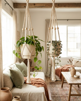 Two macrame plant hangers with trailing plants in a sunlit bohemian living room
