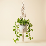 Macrame plant hanger studio shot, alternate angle